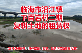 临海市沿江镇下百岩村二期复耕土地的租赁权